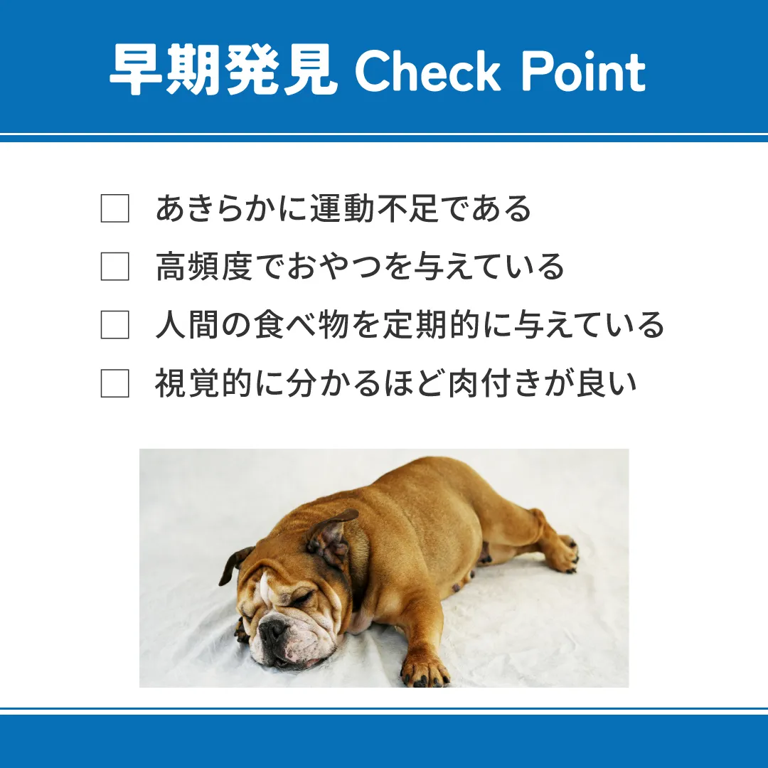 ベッツウェル 犬用食事療法食 肥満ケア
