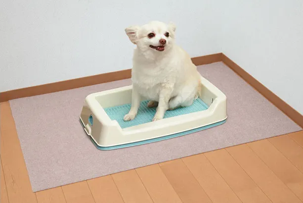 サンコー おくだけ吸着 ペット用トイレ下敷きマット 60×90cm
