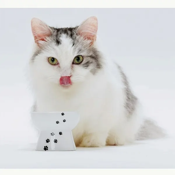 猫壱 ハッピー おやつ皿
