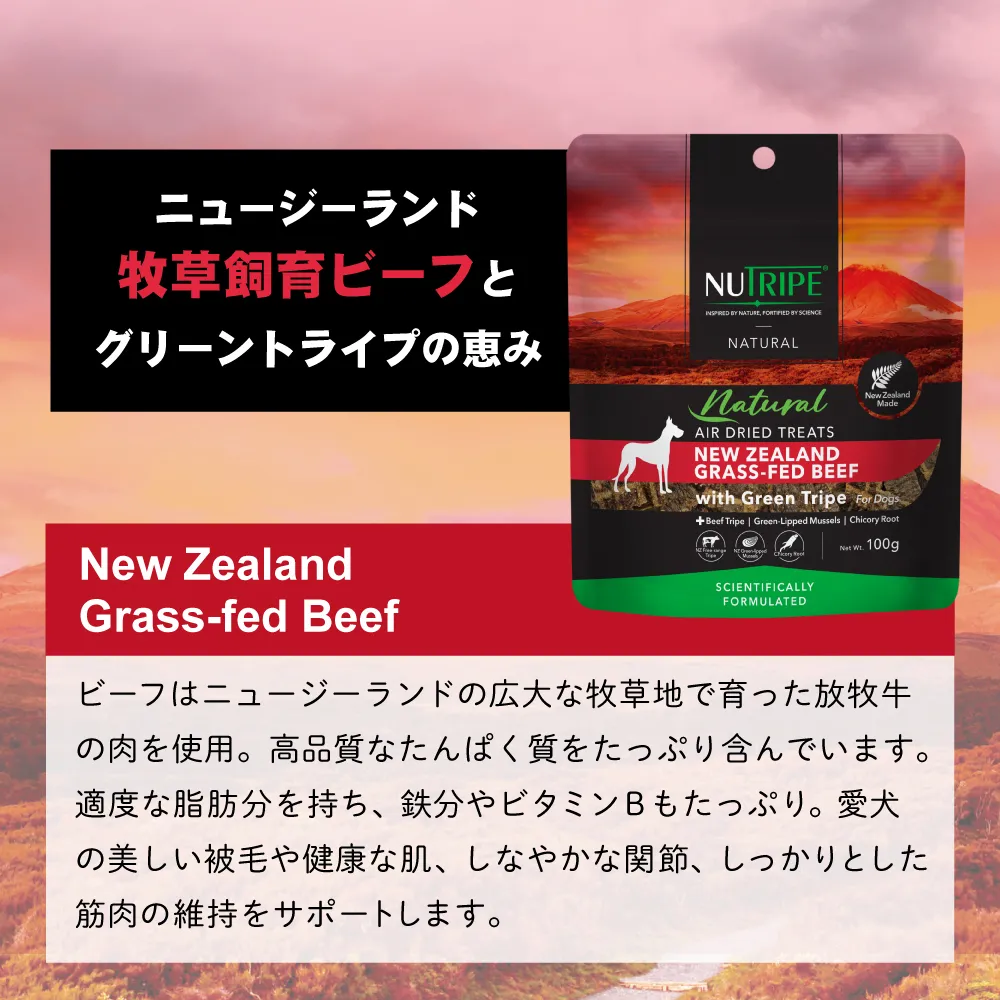 ニュートライプ ナチュラル エアードライ ラムwithグリーントライプ トリーツ 100g