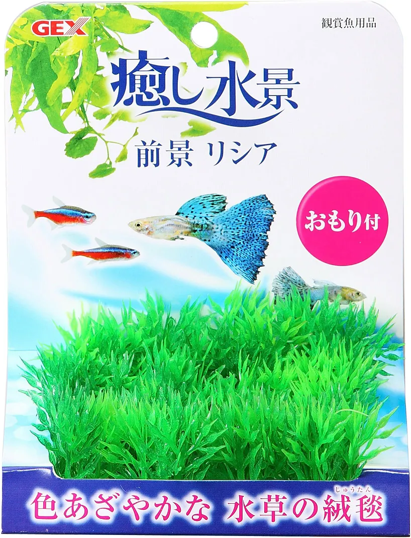GEX 癒し水景