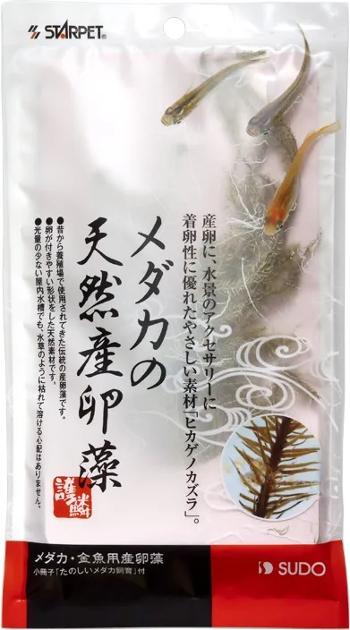 スドー メダカの天然産卵藻