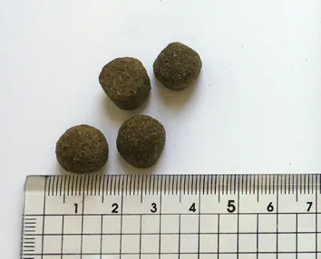 ブラックウッド 1000 チキン 全犬種 成犬期-老齢期