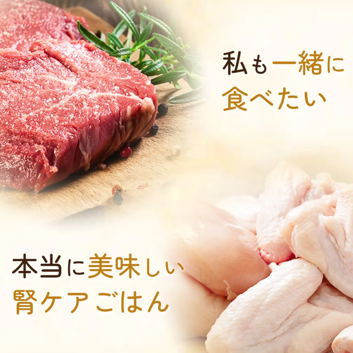 SILKFULL 犬用ウェットフード ビーフ