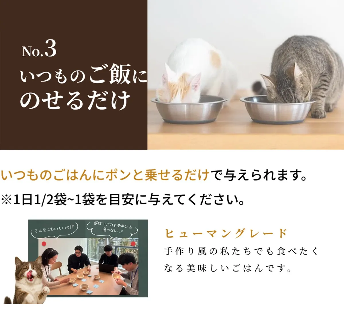 SILCAT 猫用ウェットフード チキン