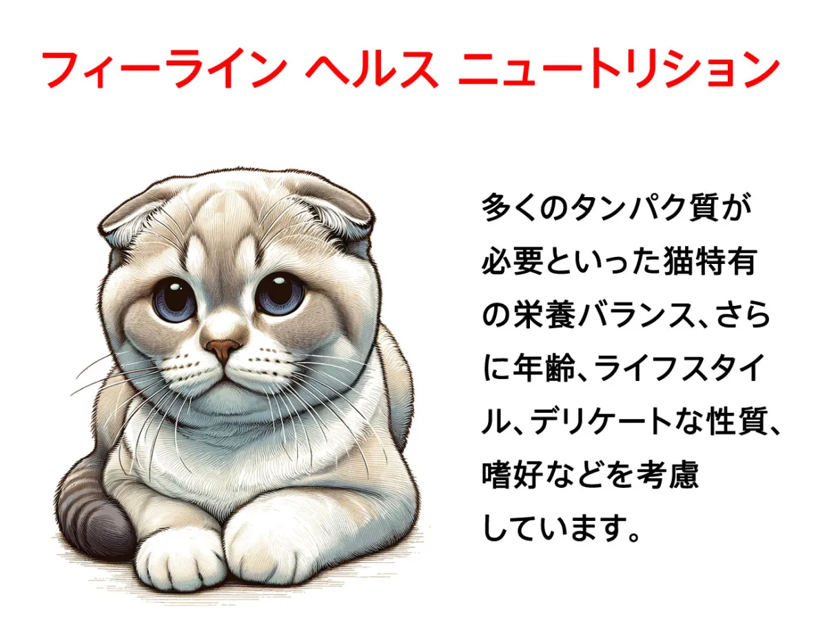 ロイヤルカナン キトン