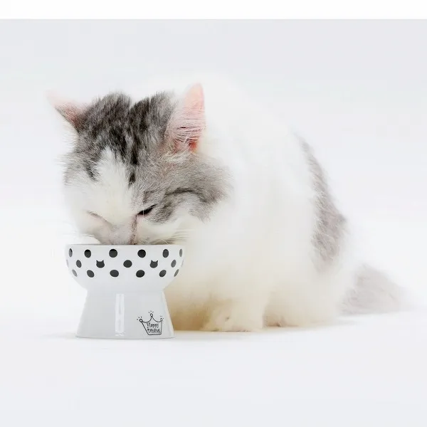 猫壱 ハッピー おやつ皿