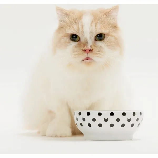 猫壱 ハッピーダイニング フードボウル