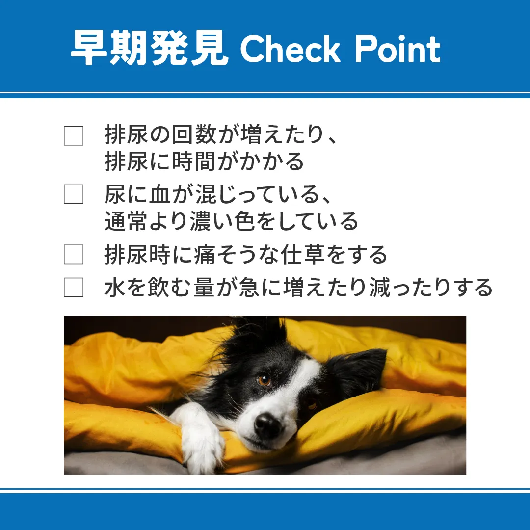 ベッツウェル 犬用食事療法食 下部尿路ケア