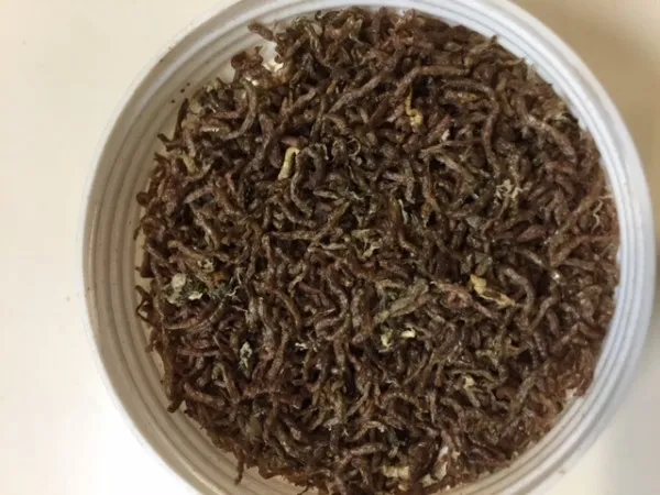 コメット 水を汚さない天然飼料 アカムシ 12g