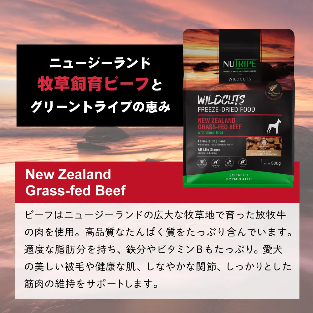 ニュートライプ ワイルドカット フリーズドライ ビーフwithグリーントライプ 15g