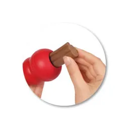 テトラ コングジギーズ チキン