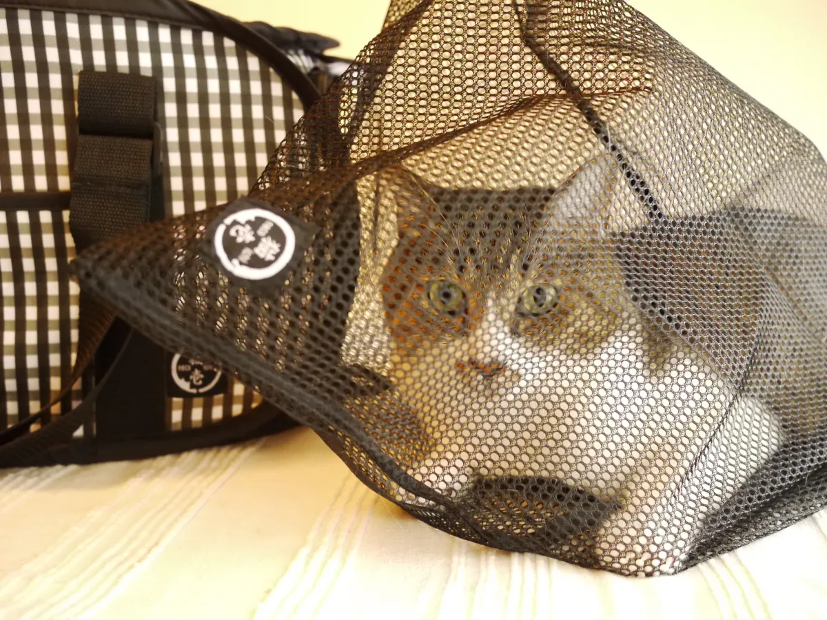 猫壱 おちつくネット