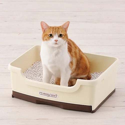 ボンビアルコン ウィークリーサンド