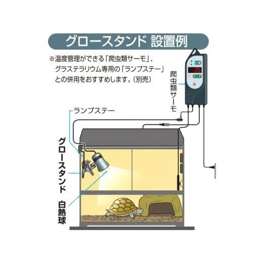 GEX グロースタンド