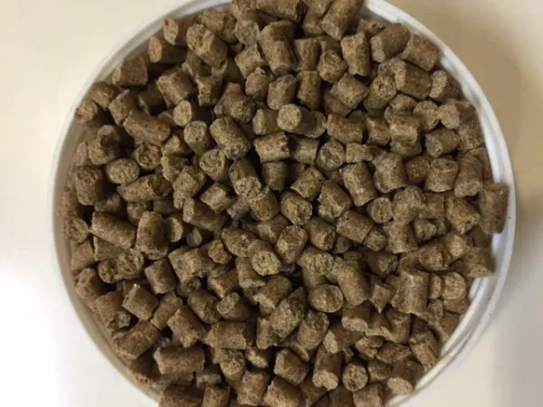 コメット 沈むエサ 1kg