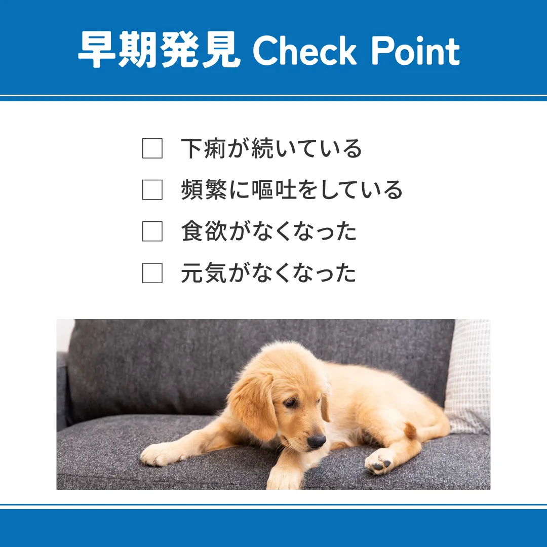 ベッツウェル 犬用食事療法食 消化器ケア 低脂肪