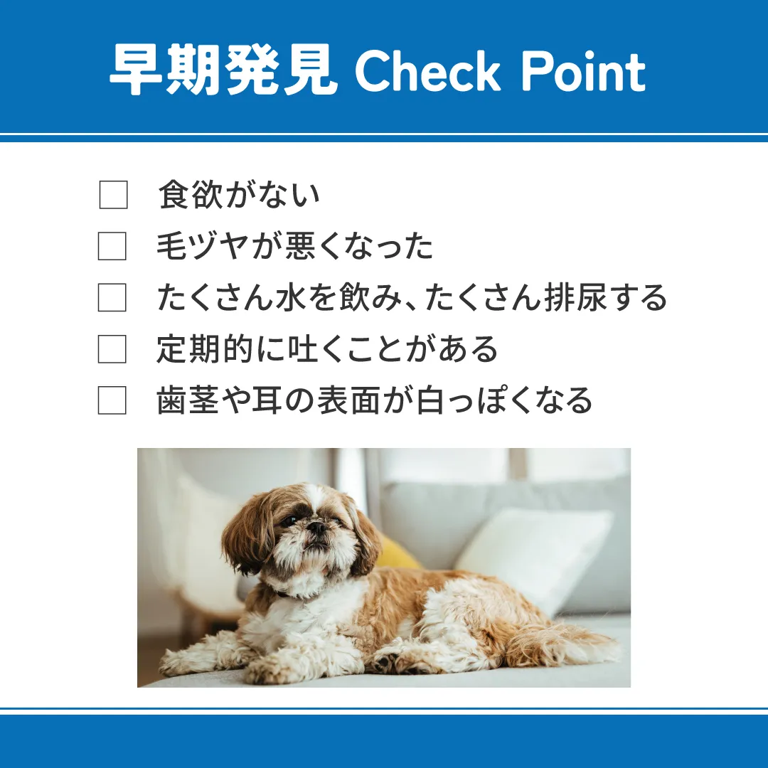 ベッツウェル 犬用食事療法食 腎臓ケア