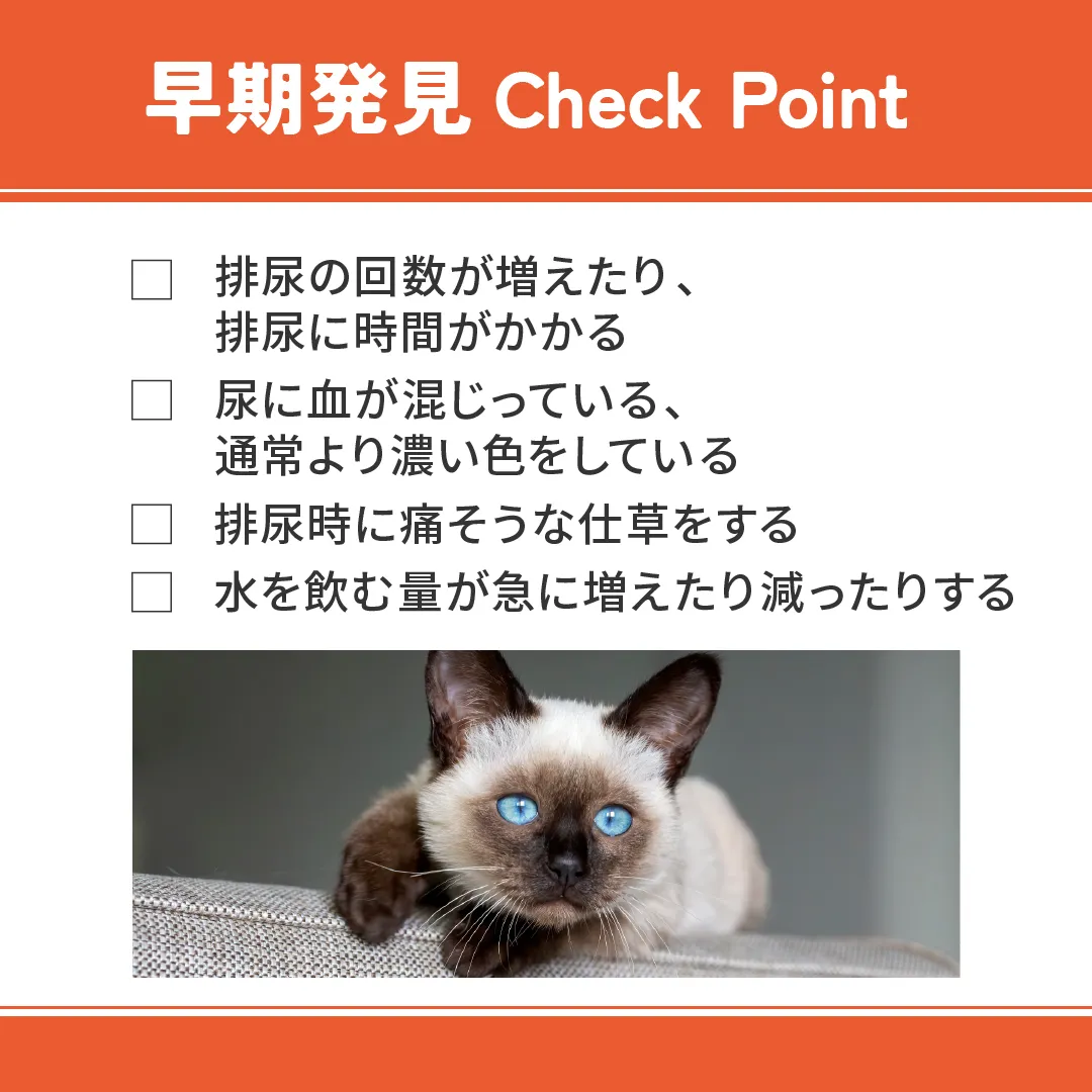 ベッツウェル 猫用食事療法食 下部尿路ケア 低脂肪