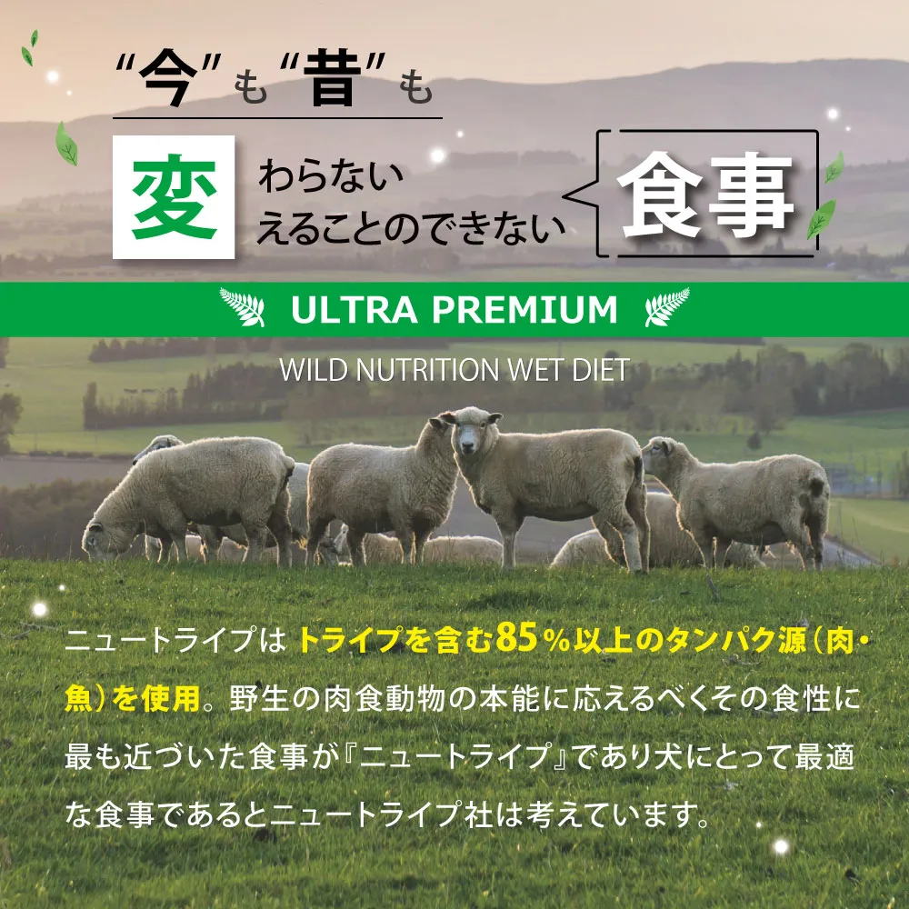 ニュートライプ ピュア グリーントライプ