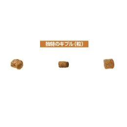 ロイヤルカナン ダックスフンド 中・高齢犬用