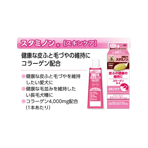 チョイスプラス スタミノン 皮ふの健康の維持に 40g