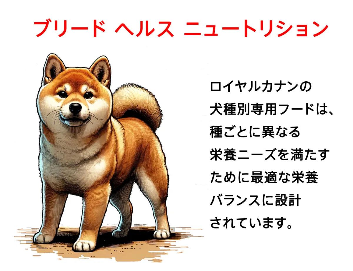 ロイヤルカナン 柴犬 成犬用