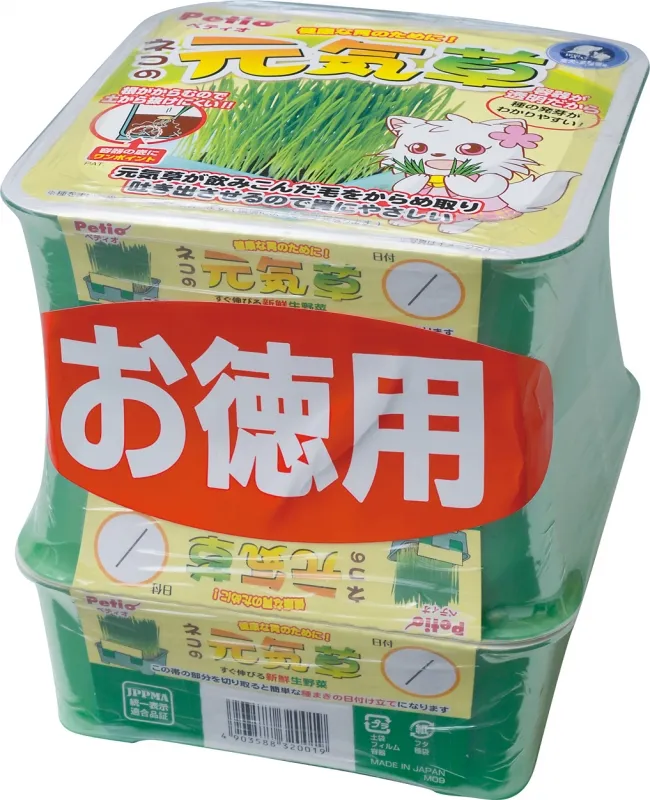 ペティオ ネコの元気草