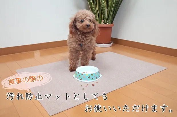 サンコー おくだけ吸着 ペット用トイレ下敷きマット 60×90cm