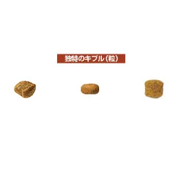 ロイヤルカナン ダックスフンド 成犬用