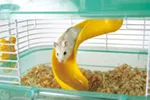 マルカン 2階でくるくる