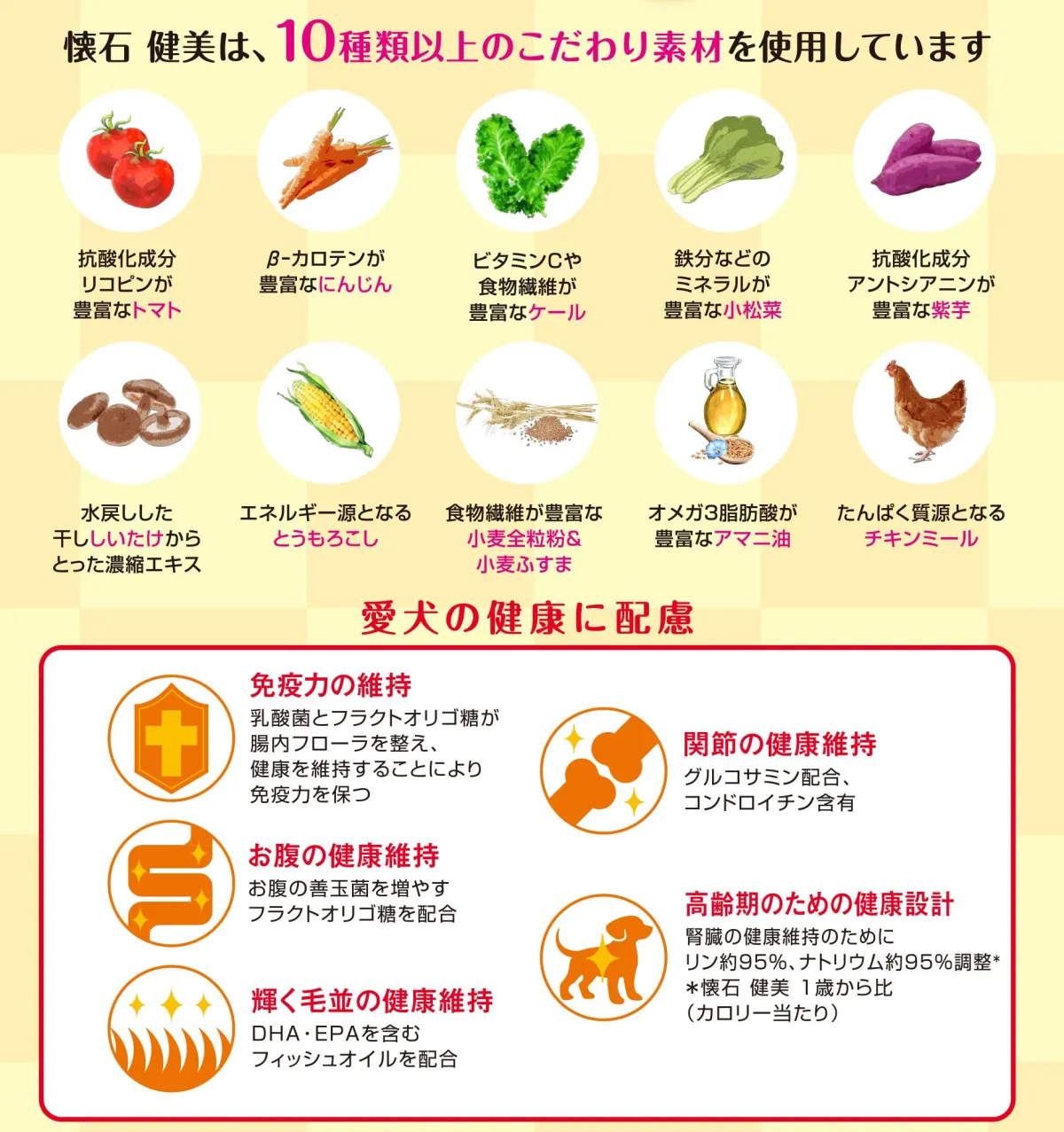 懐石 健美 7歳から