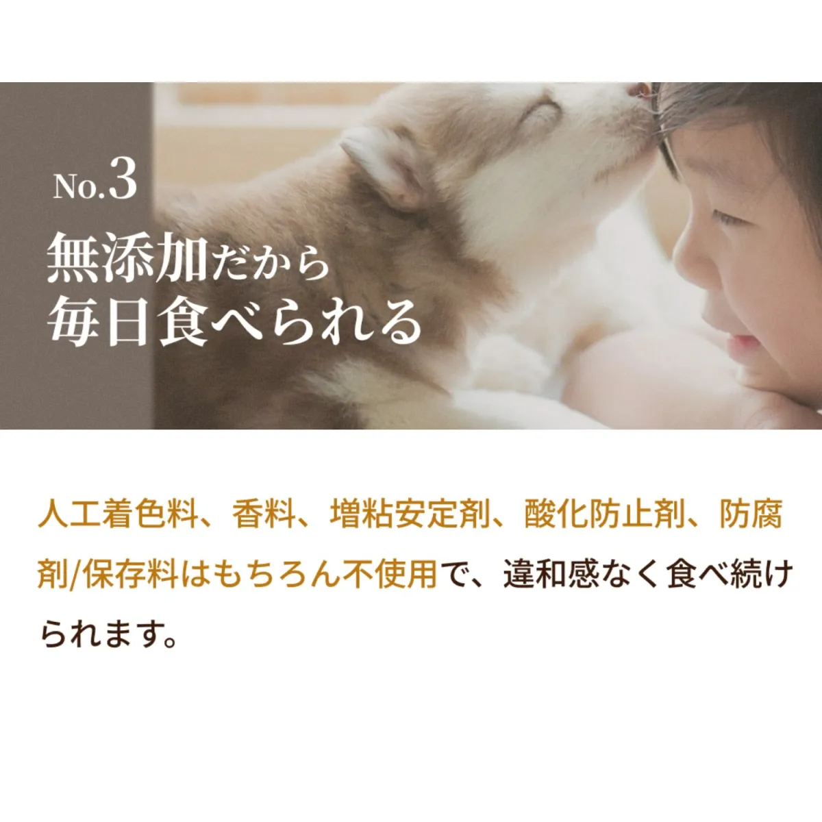 SILKFULL 犬用ウェットフード ビーフ
