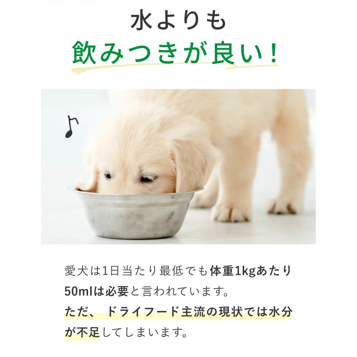 COZYMILK シルクイン
