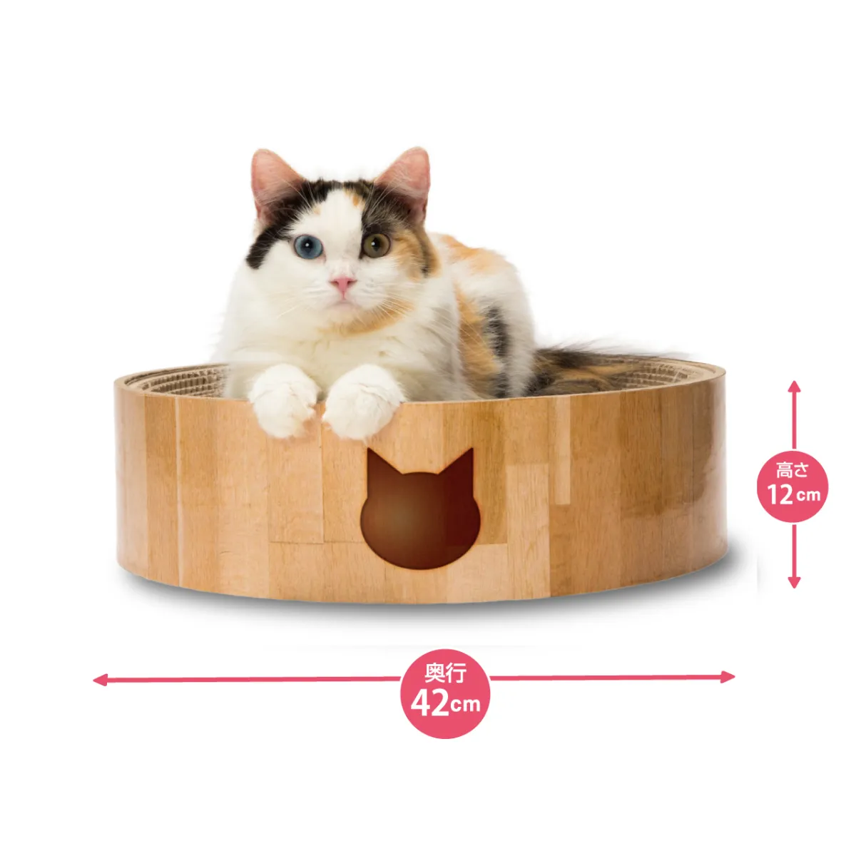 猫壱 バリバリボウル
