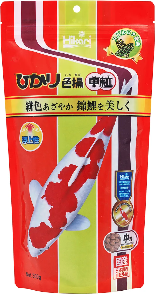 キョーリン ひかり色揚