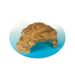 GEX カメ元気 カメの島