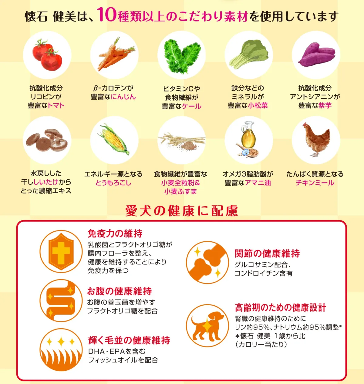 懐石 健美 7歳から