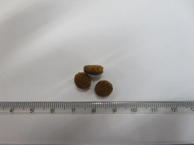 ブリスミックス グレインフリー サーモン 小粒