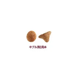 ロイヤルカナン エクシジェント トライアルセット