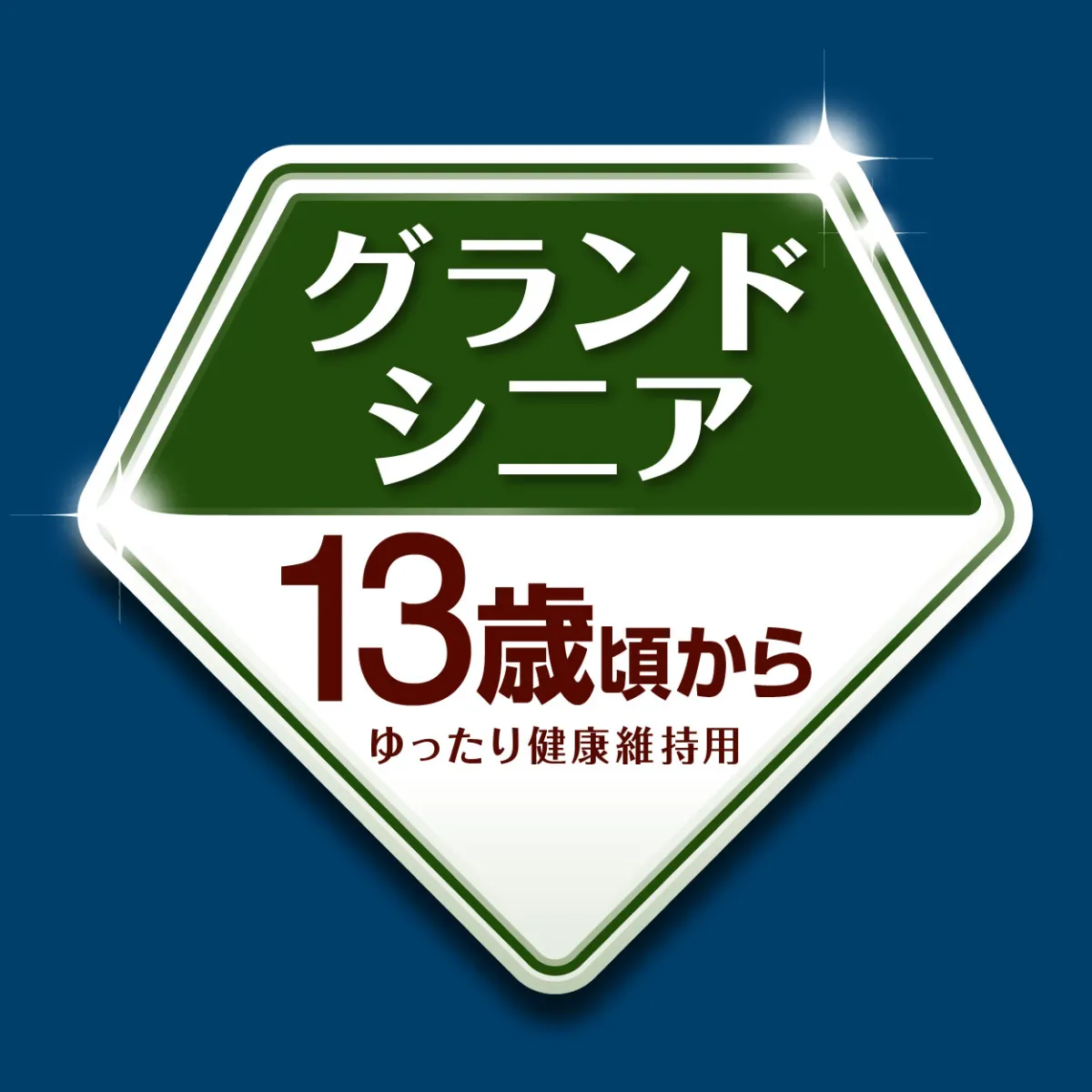 モアソフト グランドシニア ホース