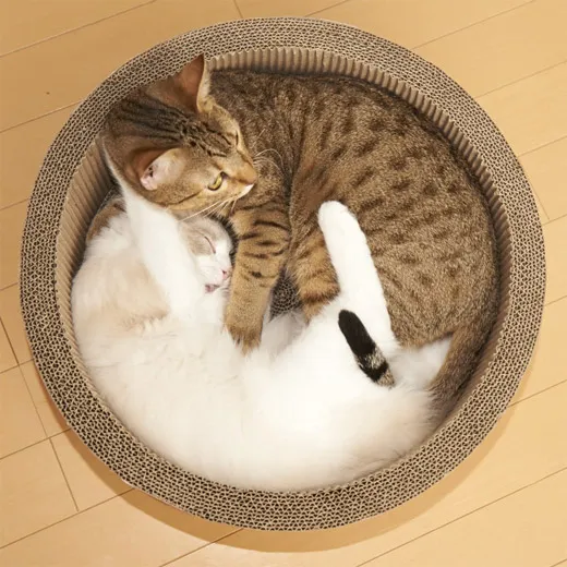 ガリガリサークル スクラッチャー