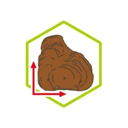 GEX カメ元気 カメの島