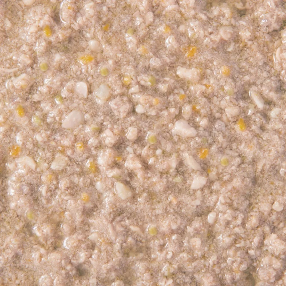 デビフ シニア食 乳酸菌・オリゴ糖配合 150g