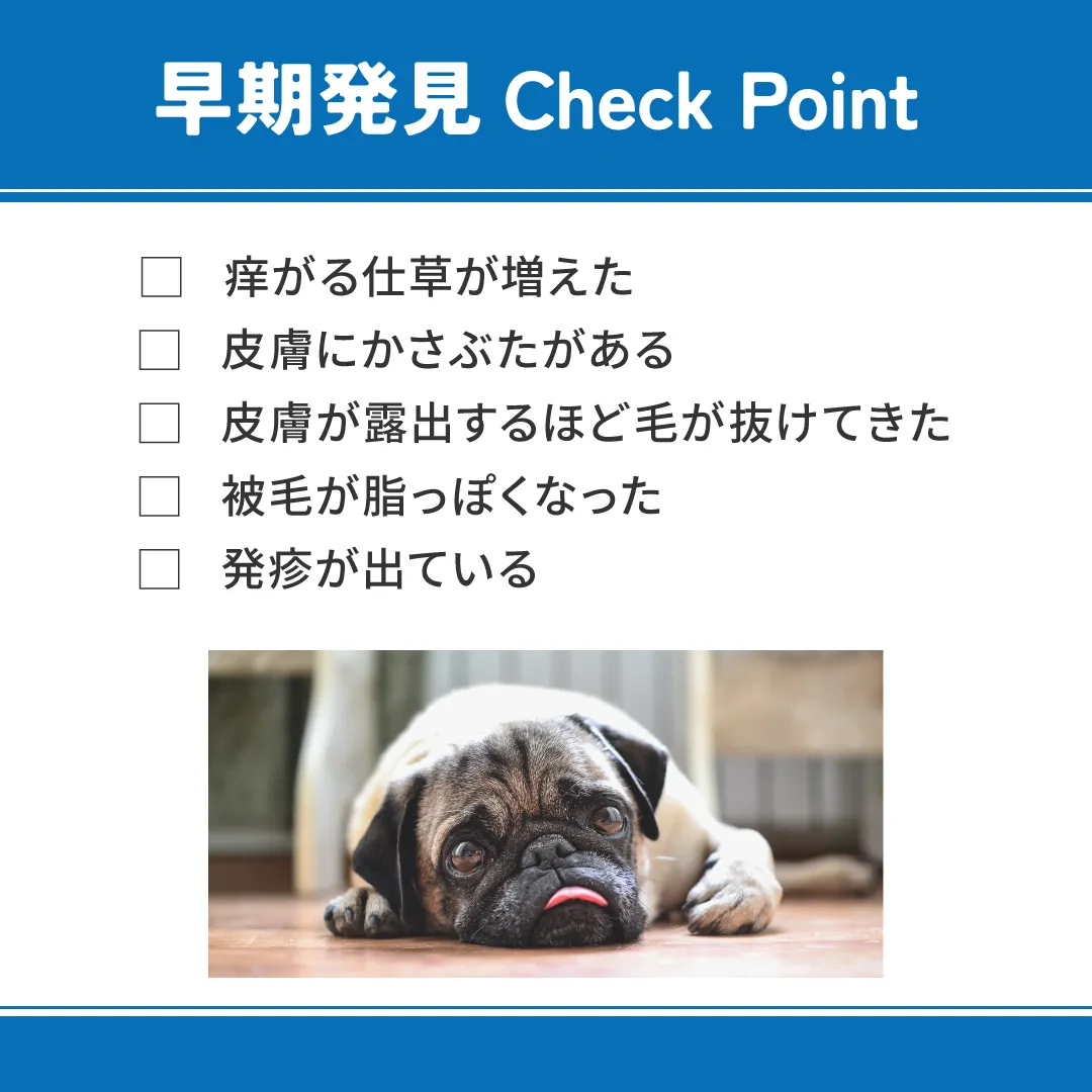 ベッツウェル 犬用食事療法食 皮膚ケア