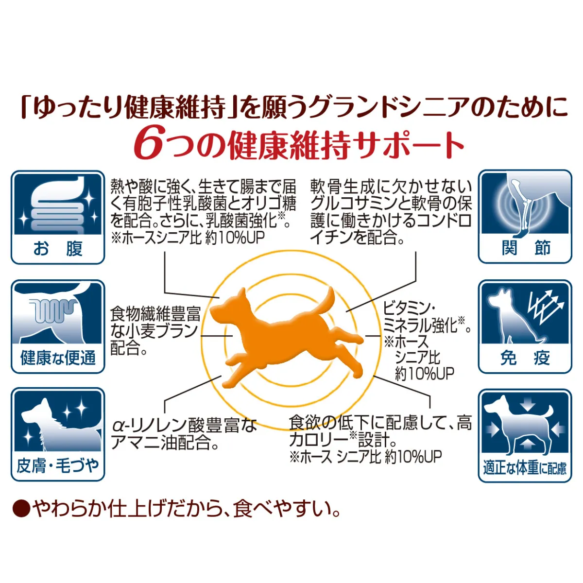 モアソフト グランドシニア ホース