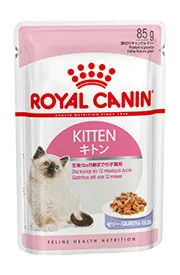 ロイヤルカナン キトン