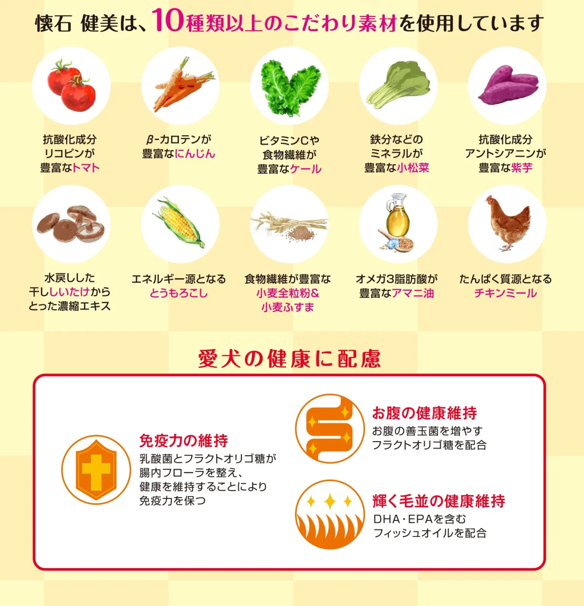 懐石 健美 1歳から