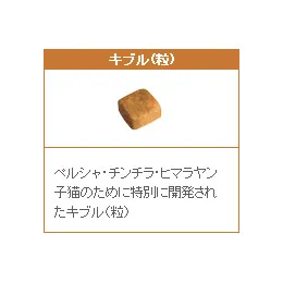 ロイヤルカナン ペルシャ・チンチラ・ヒマラヤン 子猫用