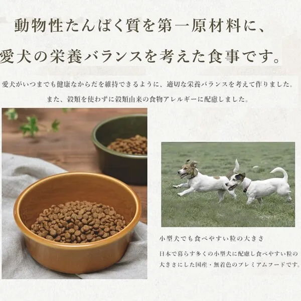 メディコートアドバンス グレインフリー 1歳から フィッシュ味